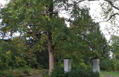 Kasteel te koop Kostrzyna, Kostrzyna 38, Neder-Silezië, Foto 12/19