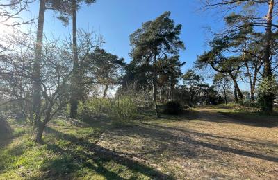Landelijk pand te koop 17375 Leopoldshagen, Mecklenburg-Vorpommern, Blick in die Einfahrt