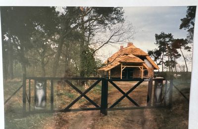 Landelijk pand te koop 17375 Leopoldshagen, Mecklenburg-Vorpommern, Foto 40/50