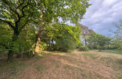 Landelijk pand te koop 17375 Leopoldshagen, Mecklenburg-Vorpommern, Gartenblick