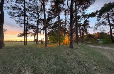 Landelijk pand te koop 17375 Leopoldshagen, Mecklenburg-Vorpommern, Sonnenuntergang Richtung Dorf