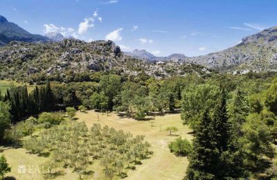 Landhuis te koop Escorca, Balearen, finca-escorca-40