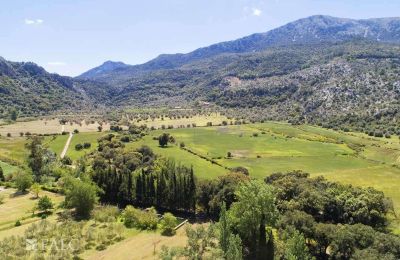 Landhuis te koop Escorca, Balearen, finca-escorca-39