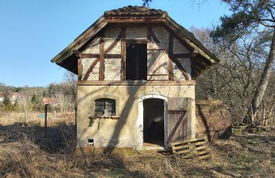 Historische villa te koop Słubice, Lubusz, Foto 5/15