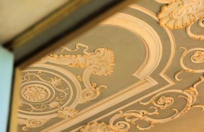 Kasteel te koop Capannori, Toscane, Details