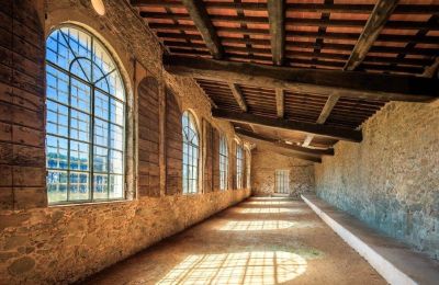 Kasteel te koop Capannori, Toscane, Lemon house