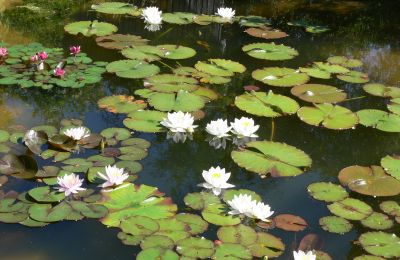 Landelijk pand te koop Duitsland, Foto 12/32