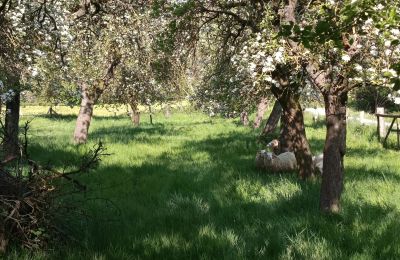 Landelijk pand te koop Duitsland, Foto 29/32