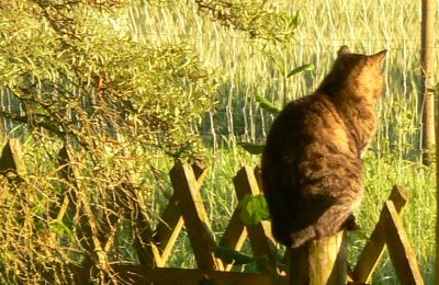 Landelijk pand te koop Duitsland, Foto 32/32