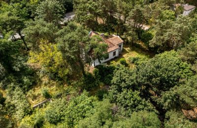 Historische villa te koop Konstancin-Jeziorna, Mazovië, Foto 6/9