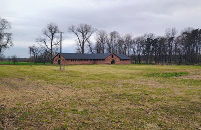 Landhuis te koop Raszków, Heilig Kruis, Foto 5/16