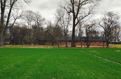 Landhuis te koop Raszków, Heilig Kruis, Foto 8/16