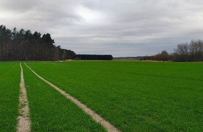 Landhuis te koop Raszków, Heilig Kruis, Foto 7/16