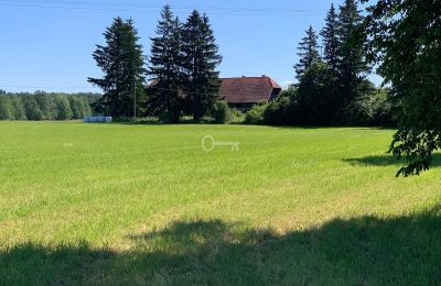 Landelijk pand te koop Bądze, Ermland-Mazurië, Foto 3/8