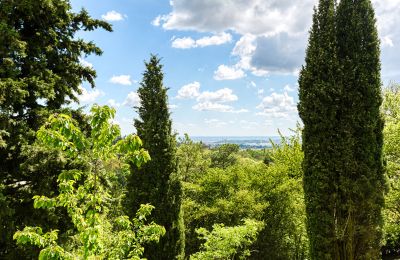 Landhuis te koop Limonest, Auvergne-Rhône-Alpes, Foto 6/10