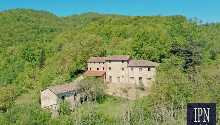 Landhuis in natuursteen met panoramisch uitzicht, schuur en kerkruïne