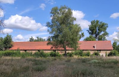 Landhuis te koop 66-300 Bobowicko, Lubusz, Foto 11/14
