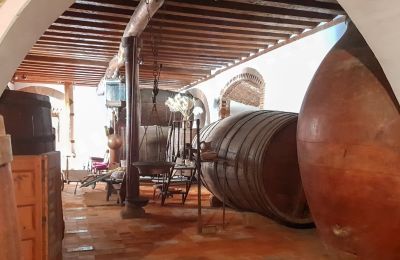 Burcht te koop Narros de Saldueña, Teniente Cecilio López 48, Castilla y León, Foto 8/20