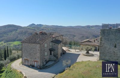 Historische toren te koop 06010 Monte Santa Maria Tiberina, Umbria, Foto 8/65
