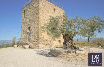 Historische toren te koop 06010 Monte Santa Maria Tiberina, Umbria, Foto 25/65