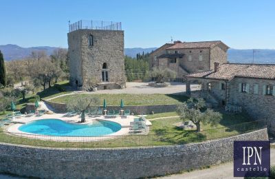 Historische toren te koop 06010 Monte Santa Maria Tiberina, Umbria, Foto 3/65