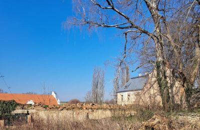 Kasteel te koop Ronov nad Doubravou, Moravany  1, okres Chrudim, Foto 16/19
