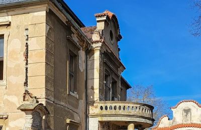 Kasteel te koop Ronov nad Doubravou, Moravany  1, okres Chrudim, Foto 6/19