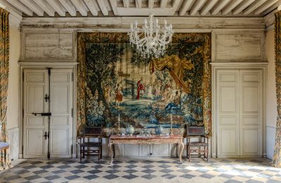 Kasteel te koop Nouvelle-Aquitaine, Foto 9/17