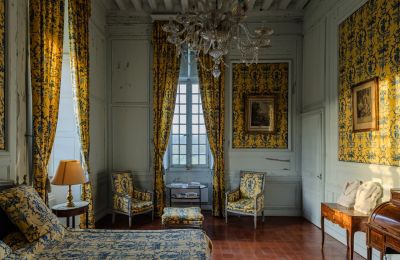 Kasteel te koop Nouvelle-Aquitaine, Foto 14/17