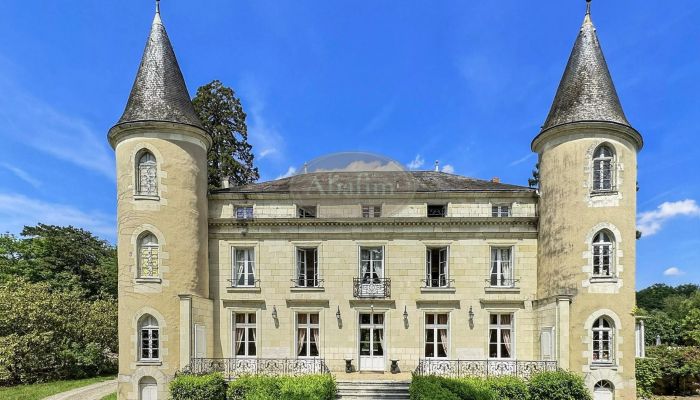 Kasteel te koop La Roche-Posay, Nouvelle-Aquitaine