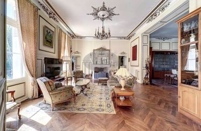 Kasteel te koop La Roche-Posay, Nouvelle-Aquitaine, Foto 8/41
