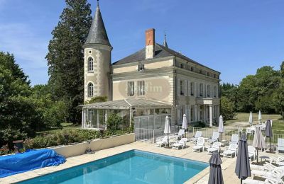 Kasteel te koop La Roche-Posay, Nouvelle-Aquitaine, Foto 5/41