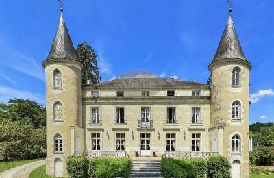 Historisch vastgoed, Kasteel in de Loirestreek met park, meer en twee bijgebouwen