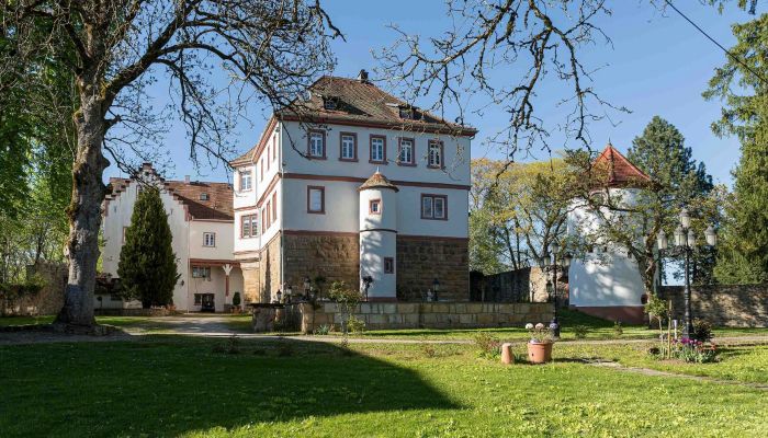 Kasteel Baden-Württemberg