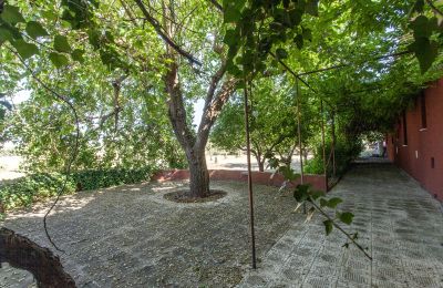 Landelijk pand te koop Francavilla Fontana, Apulië, Foto 20/30