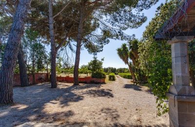 Landelijk pand te koop Francavilla Fontana, Apulië, Foto 26/30