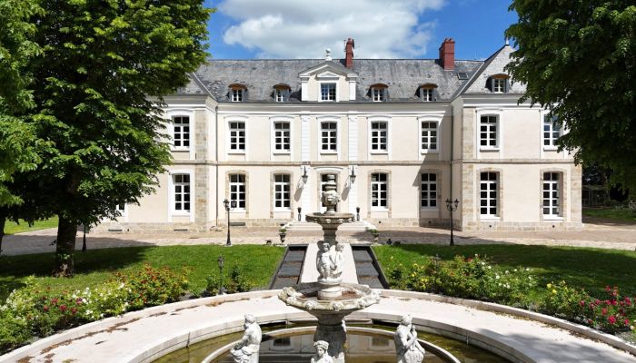 Klassiek château nabij Provins, Seine-et-Marne – geen monumentenstatus