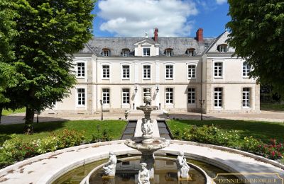 Kasteel te koop Provins, Île-de-France, Foto 1/19