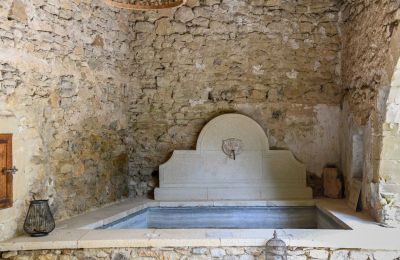 Historisch vastgoed, Historisch karakterpand met gewelven, binnenplaats en idyllische tuin nabij Uzès