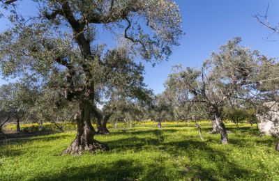 Landelijk huis te koop Oria, Puglia, Foto 22/29