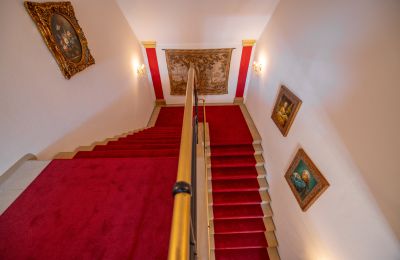 Kasteel te koop 32683 Barntrup, Noordrijn-Westfalen, Treppenhaus