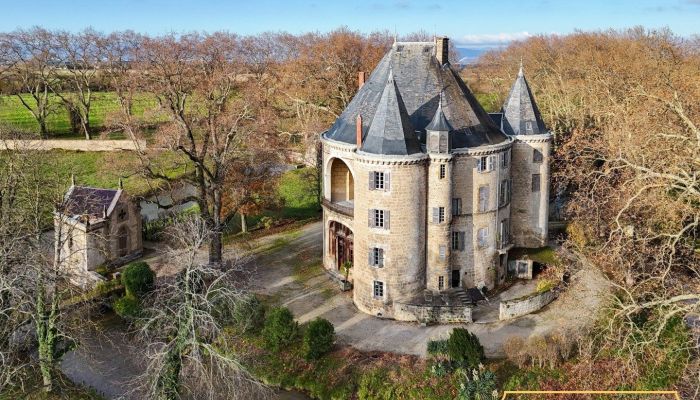 Middeleeuws kasteel te koop Valence, Auvergne-Rhône-Alpes