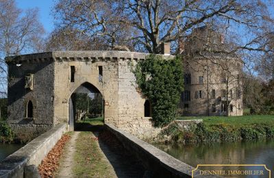 Middeleeuws kasteel te koop Valence, Auvergne-Rhône-Alpes, Foto 3/28