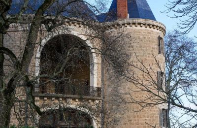 Middeleeuws kasteel te koop Valence, Auvergne-Rhône-Alpes, Foto 7/28