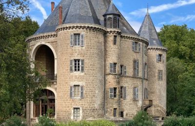 Middeleeuws kasteel te koop Valence, Auvergne-Rhône-Alpes, Foto 5/28