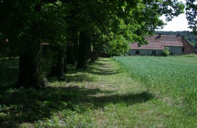 Landhuis te koop Rogów Wołowski, Neder-Silezië, Foto 20/25