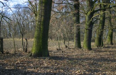 Landhuis te koop Rogów Wołowski, Neder-Silezië, Foto 13/25