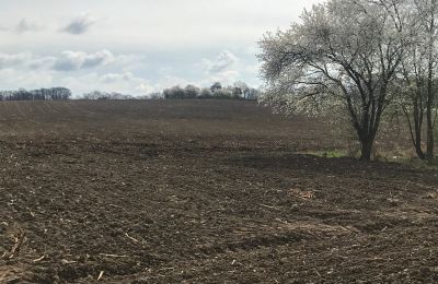 Landhuis te koop Rogów Wołowski, Neder-Silezië, Foto 16/25