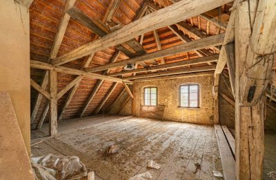 Kasteel te koop Žatec, okres Louny, Zolder