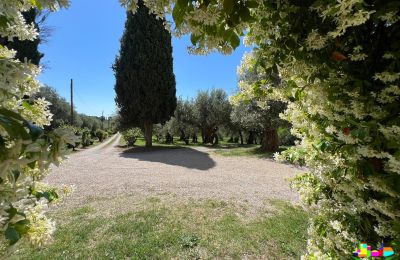 Historische villa te koop 06061 Castiglione del Lago, localita croce 2, Umbrië, Foto 32/38